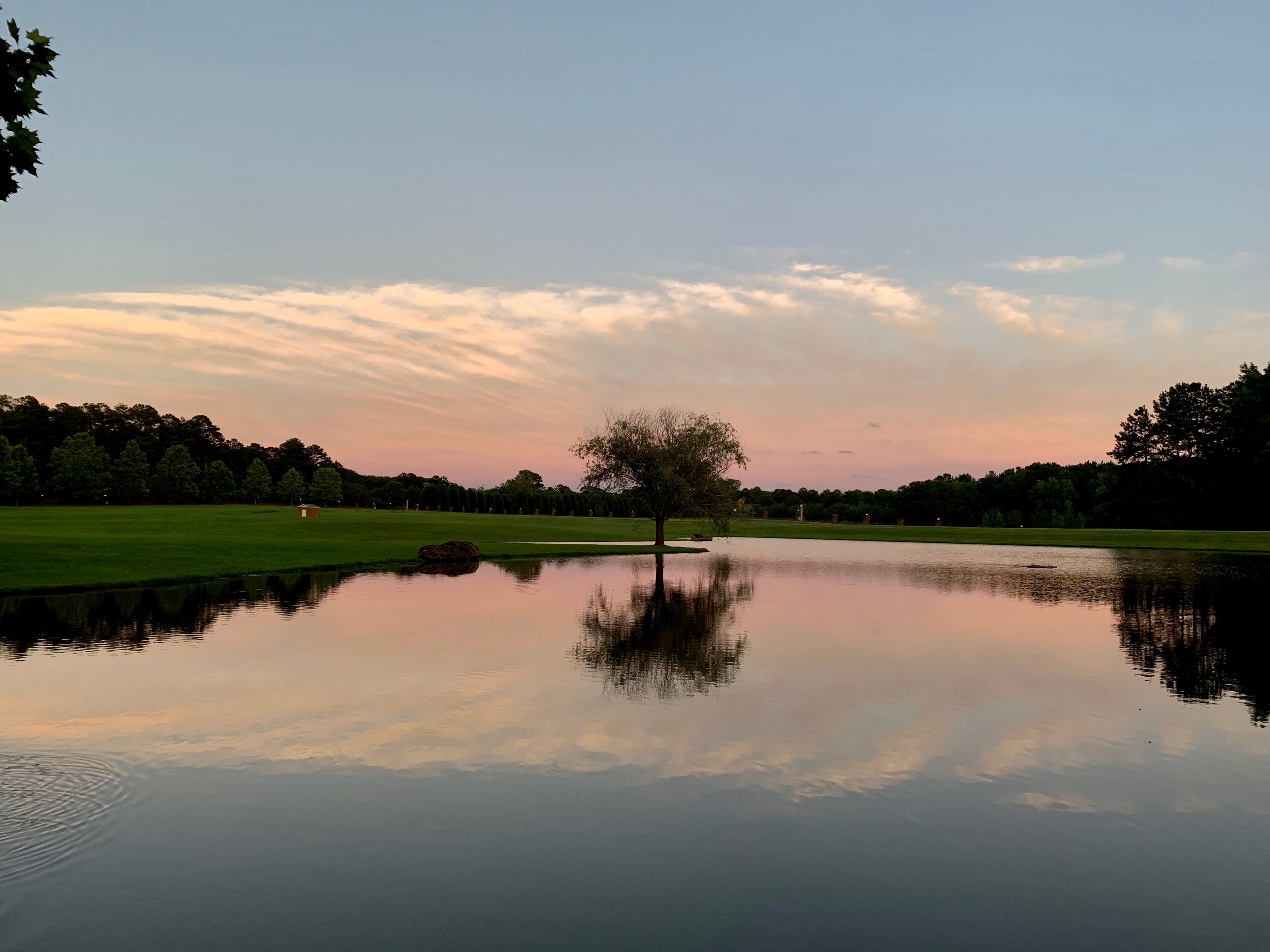 Pond at sunset with reflection
