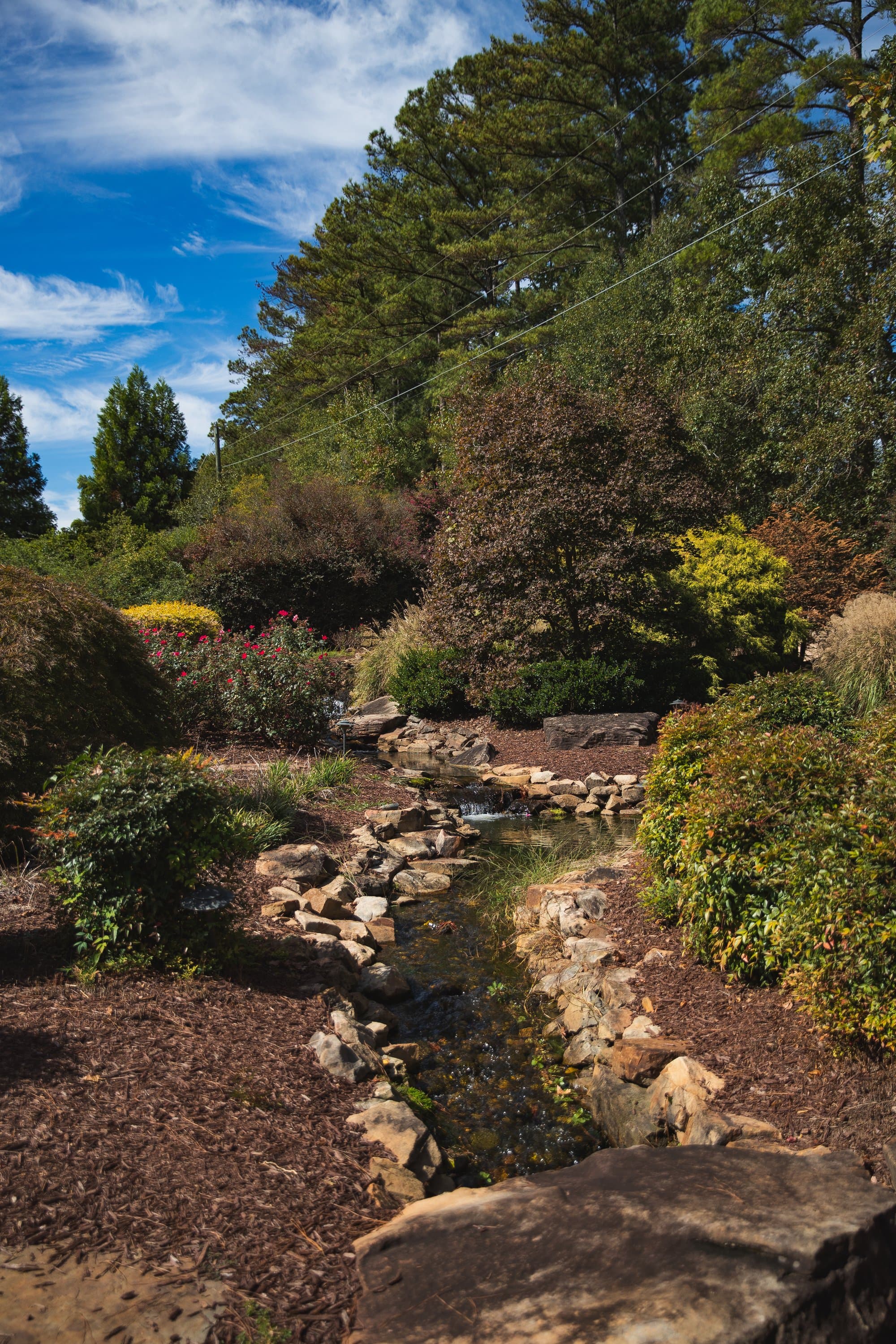 Grounds & Water Features