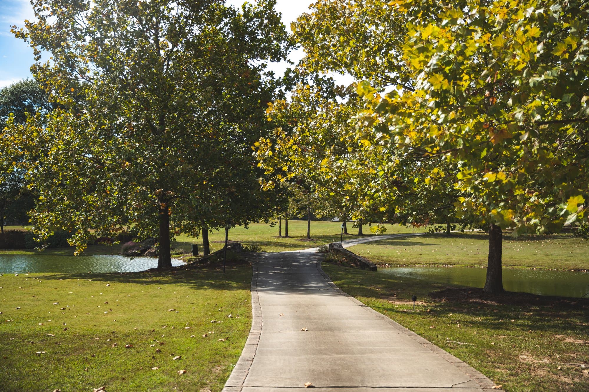 Tree-lined pathway through manicured grounds