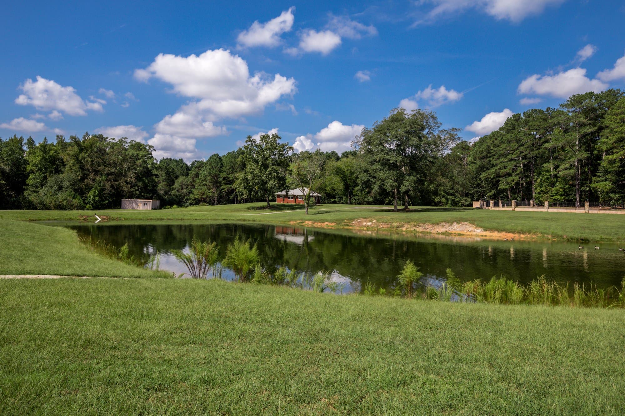 Pond near Porter House