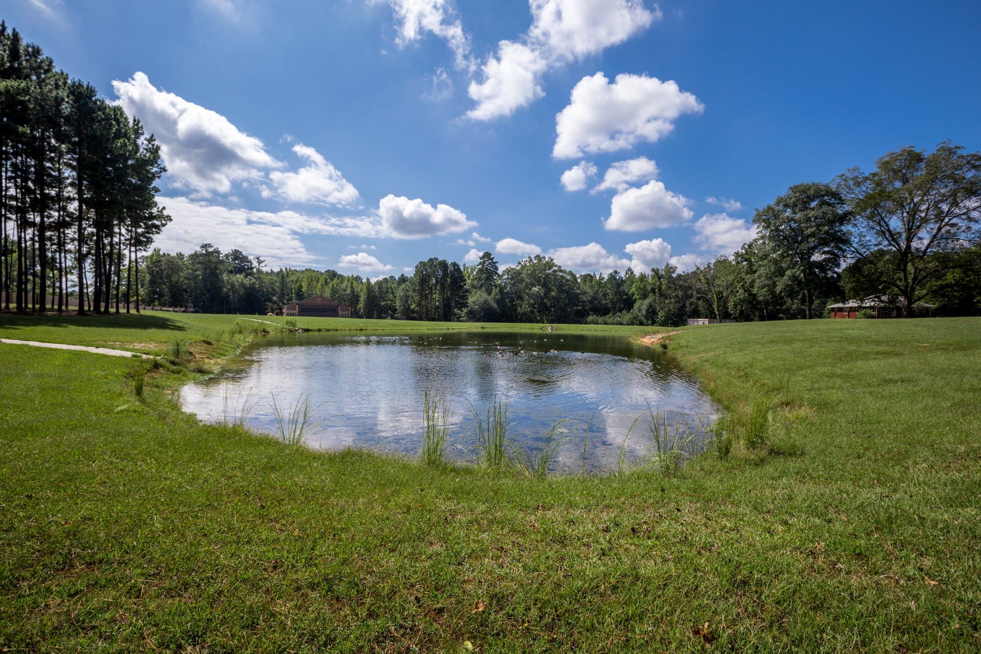 Pond and grounds
