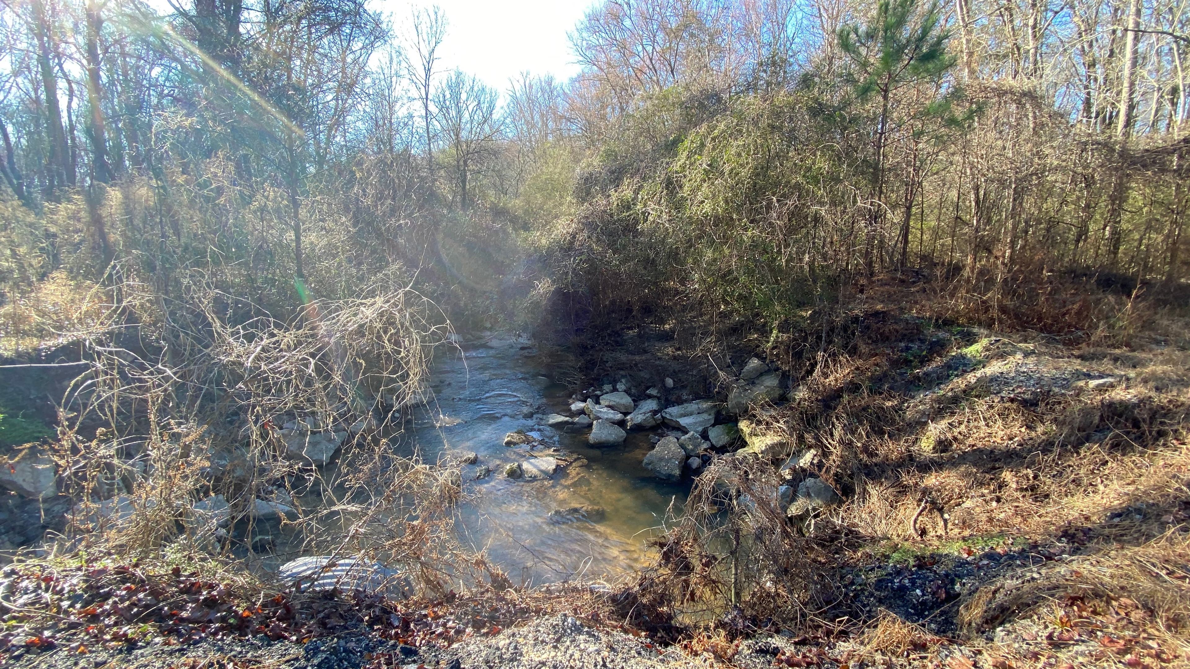 Creek through woods